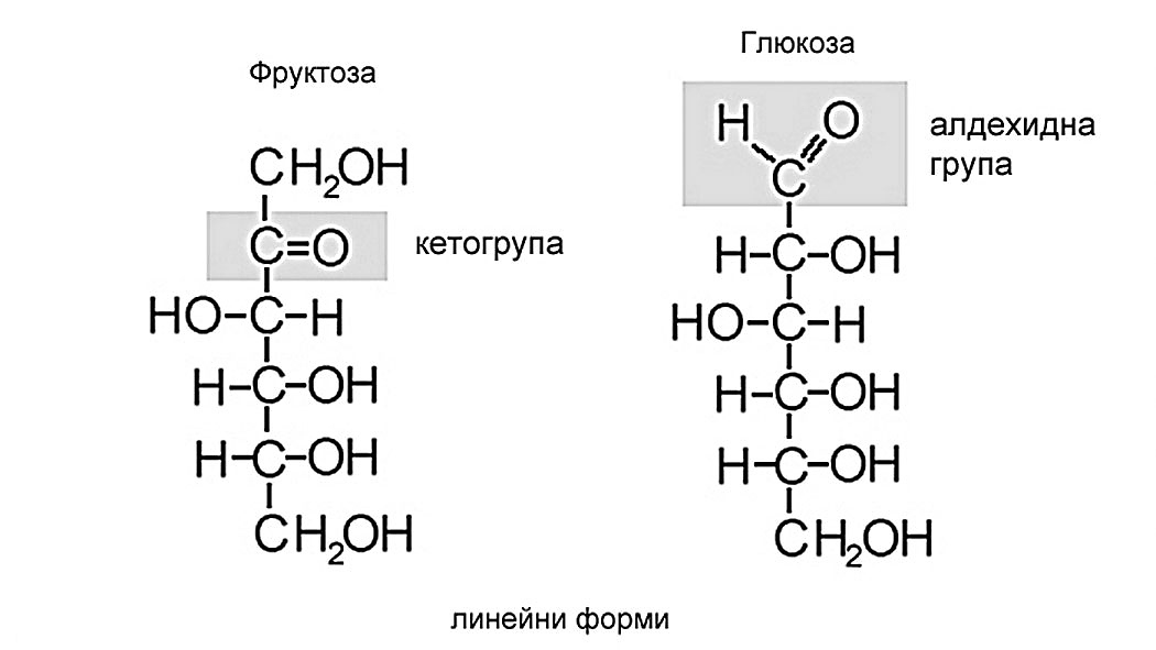 Съединенията с еднаква химична формула, но с различни химични и физични свойства, са изомери.