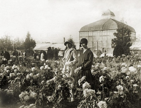 Княжеската градинка в София