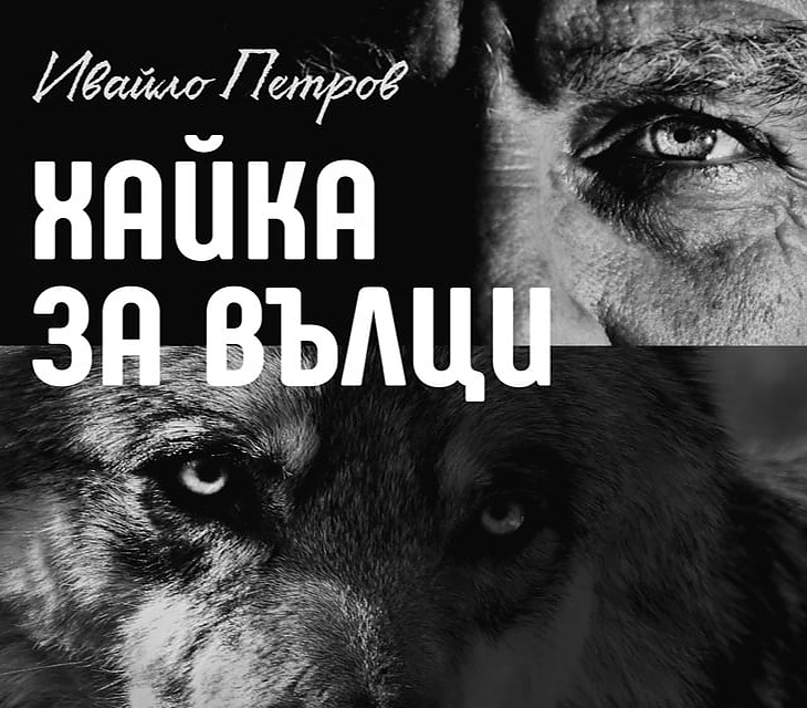 В романа