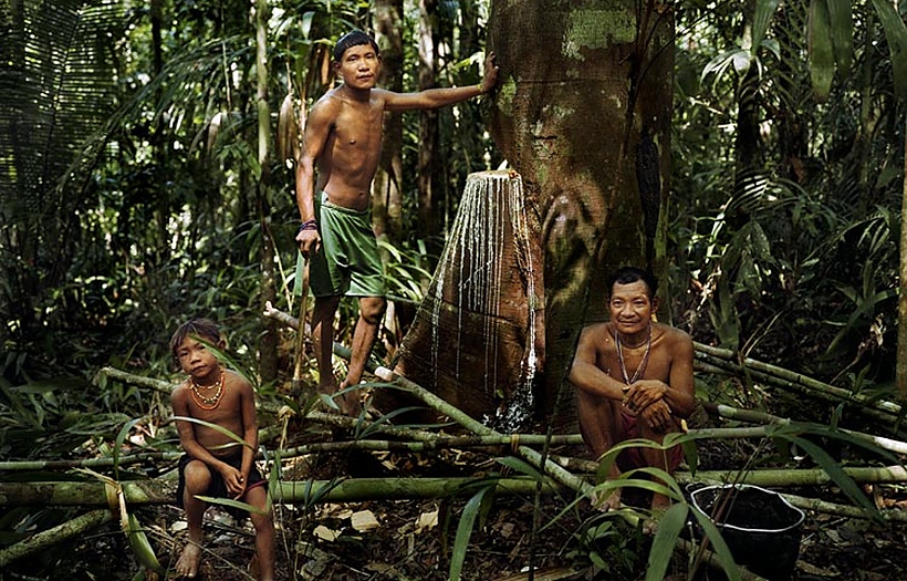 Пираха: Племето в долината на Амазонка, което не спи