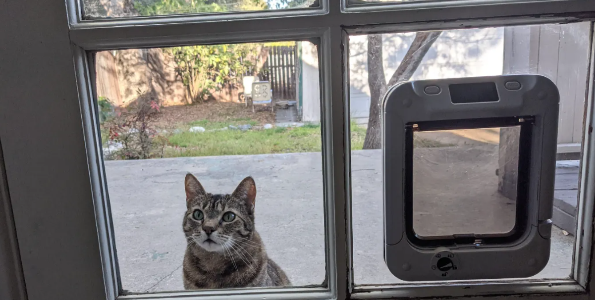 Автоматични врати за котки