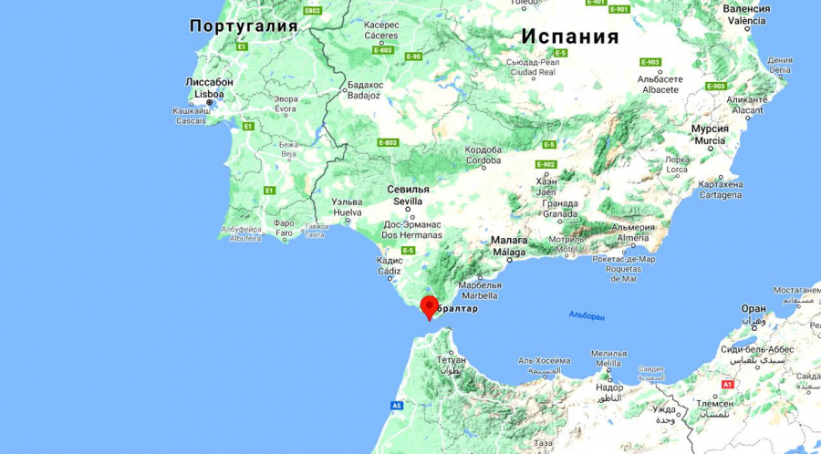 Гибралтар маймуни макак