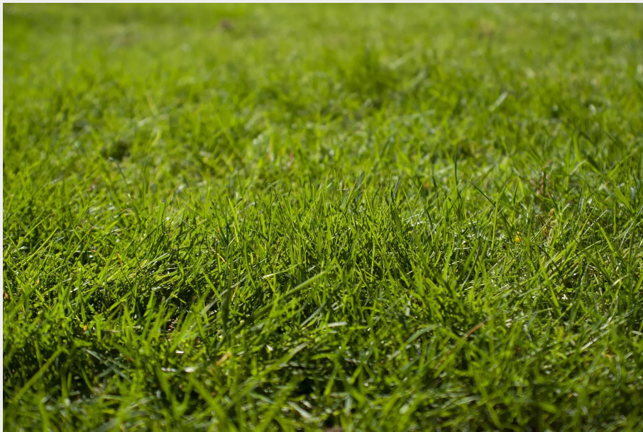 Отстранете петна от трева със захар