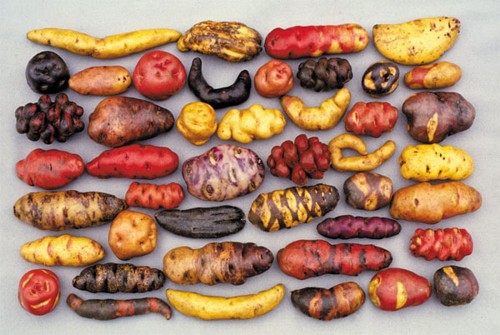 Перуански картофи